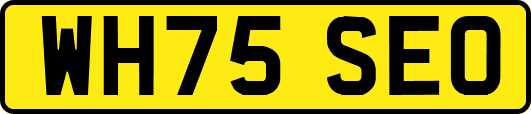 WH75SEO