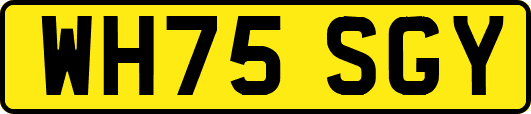 WH75SGY