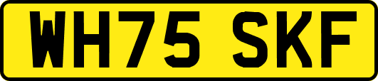 WH75SKF