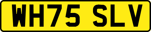 WH75SLV
