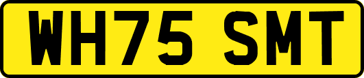 WH75SMT