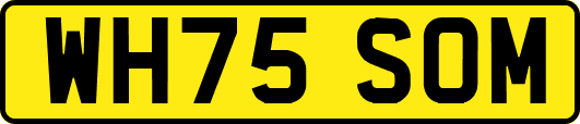 WH75SOM