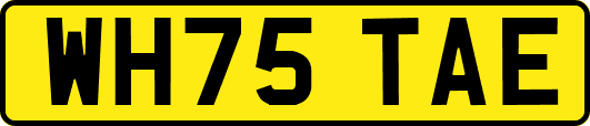 WH75TAE