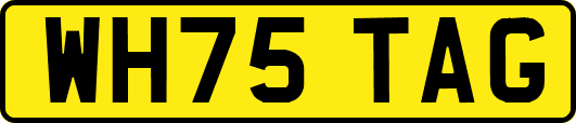 WH75TAG