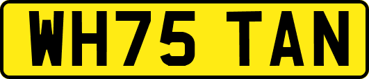 WH75TAN