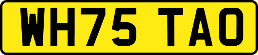 WH75TAO