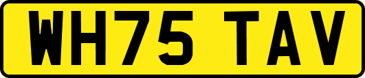 WH75TAV