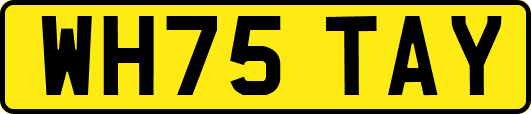 WH75TAY
