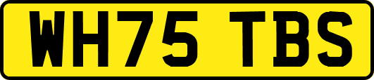WH75TBS