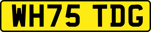 WH75TDG