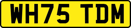 WH75TDM