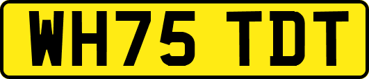 WH75TDT