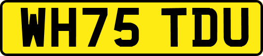 WH75TDU