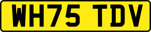WH75TDV