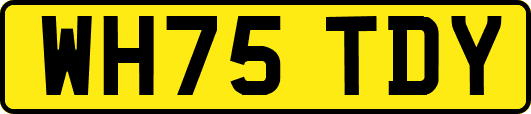 WH75TDY
