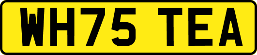 WH75TEA