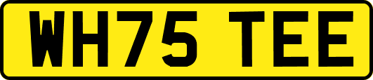 WH75TEE
