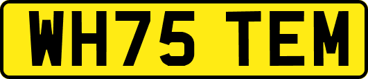 WH75TEM