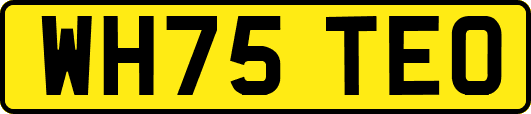 WH75TEO
