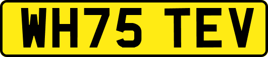 WH75TEV