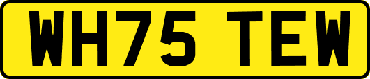 WH75TEW