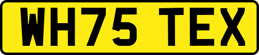 WH75TEX