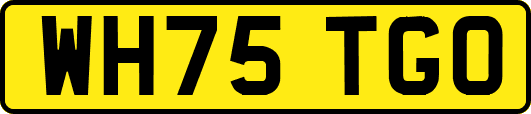 WH75TGO