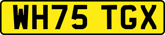WH75TGX