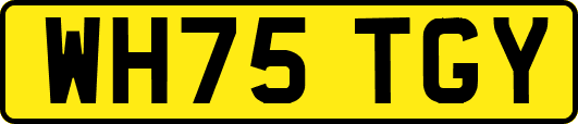WH75TGY