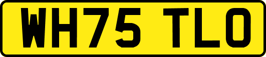 WH75TLO