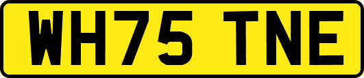 WH75TNE