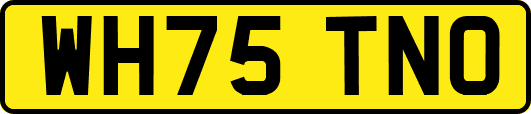 WH75TNO