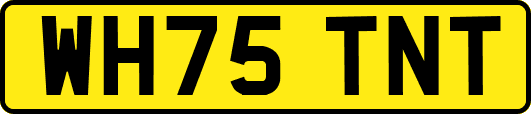 WH75TNT