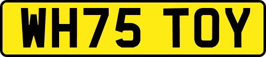 WH75TOY