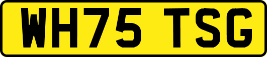 WH75TSG