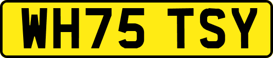 WH75TSY