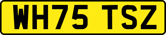 WH75TSZ