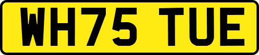 WH75TUE