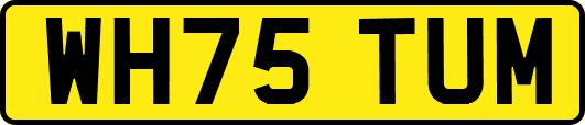 WH75TUM