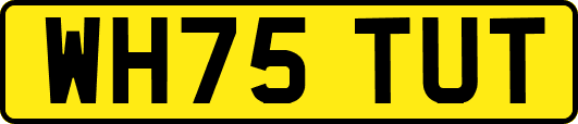 WH75TUT