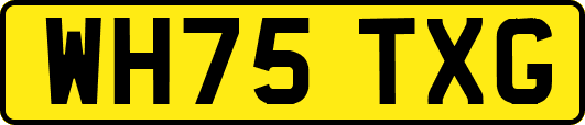 WH75TXG