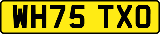 WH75TXO