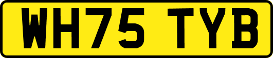 WH75TYB