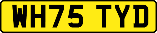 WH75TYD