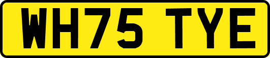 WH75TYE