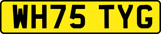 WH75TYG