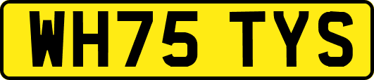 WH75TYS