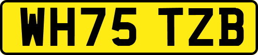 WH75TZB
