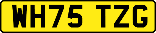WH75TZG