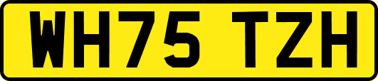 WH75TZH